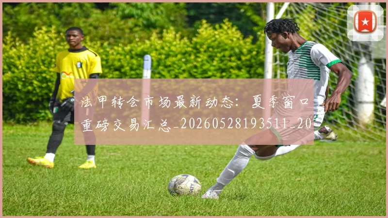 法甲转会市场最新动态：夏季窗口重磅交易汇总_20260528193511_20260609233429