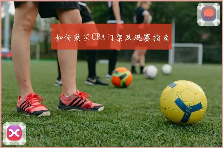 如何购买CBA门票及观赛指南
